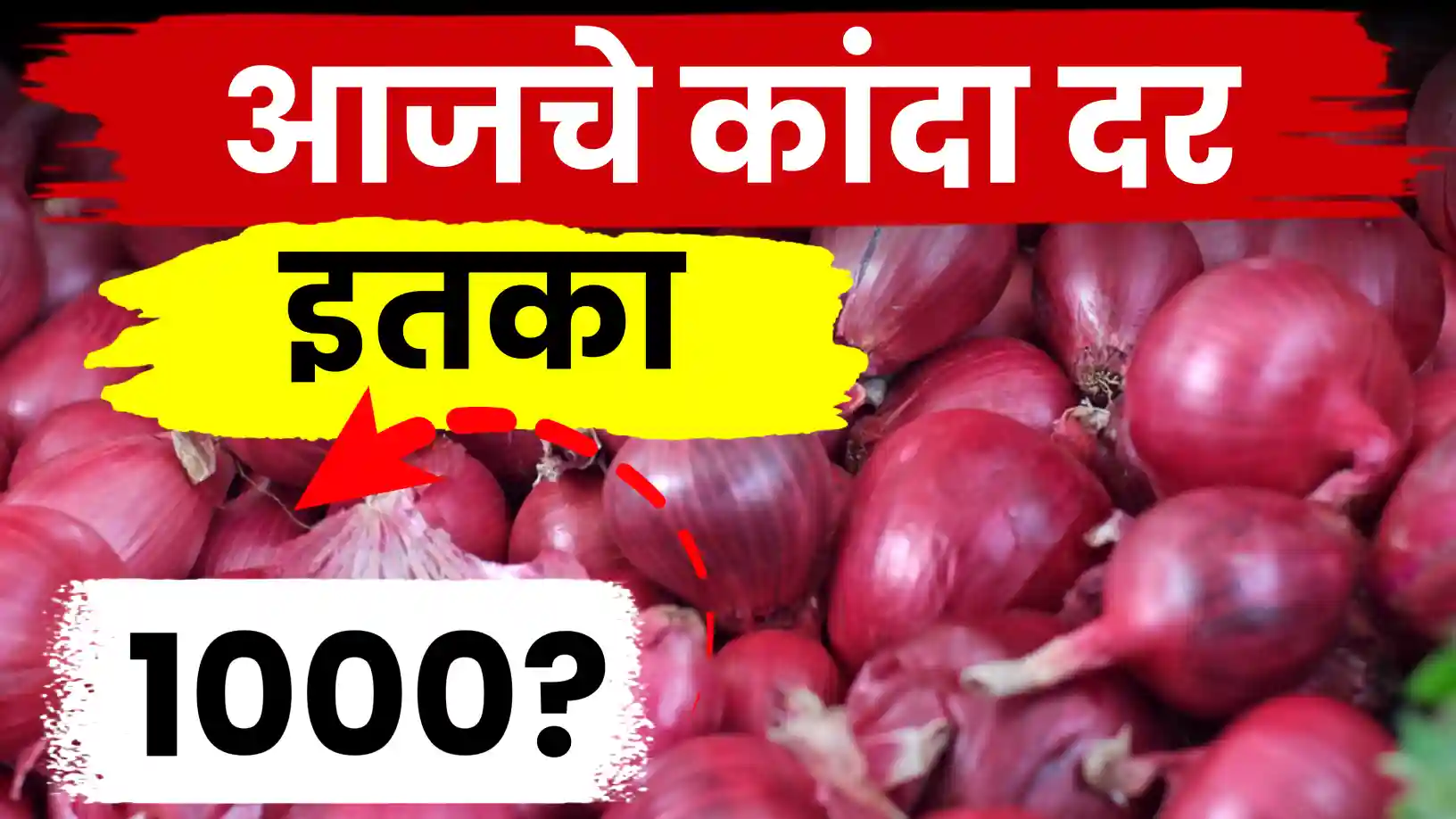 कांदा बाजारात