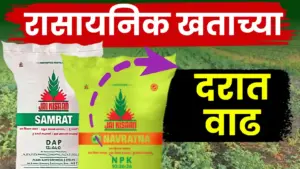 रासायनिक खतांच्या दरात पुन्हा वाढ: गोणीमागे २५० रुपयांचा फटका, शेतकरी मेटाकुटीस