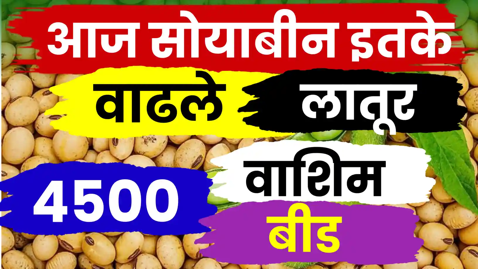 सोयाबीन बाजारात तेजी कायम