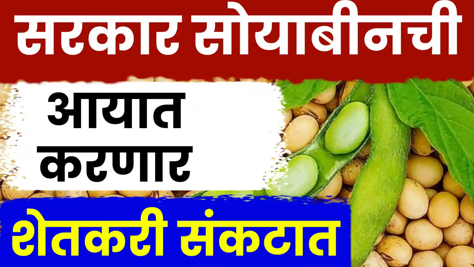 दक्षिण आफ्रिकेतून मराठवाड्यात सोयाबीन आयात