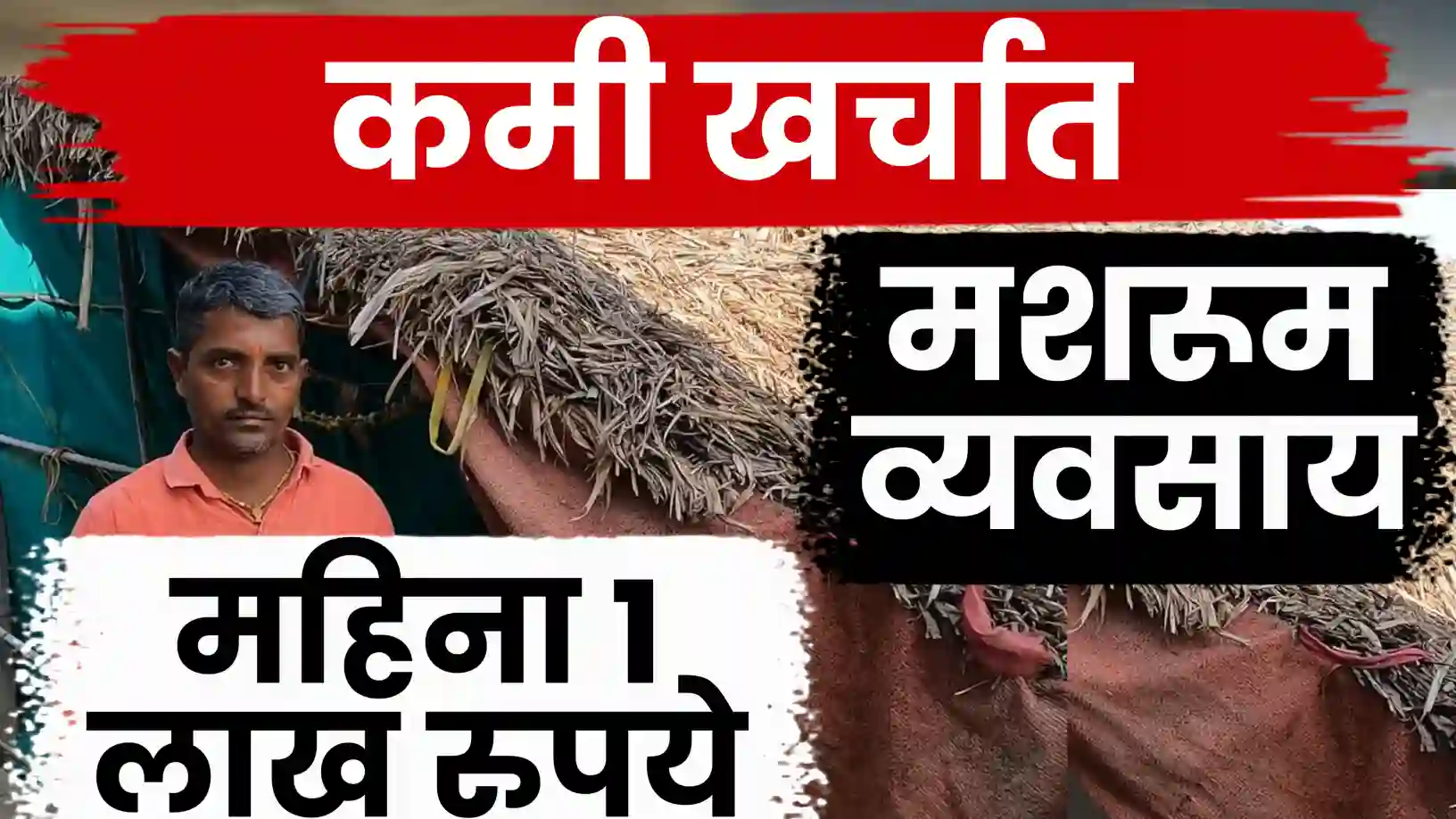 मशरूम शेती