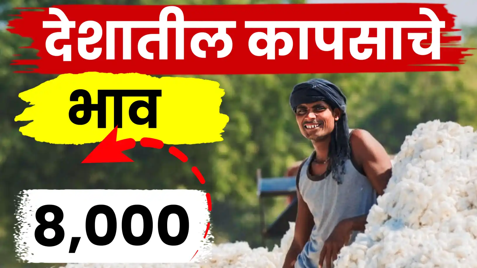 देशातील कापूस बाजारभाव