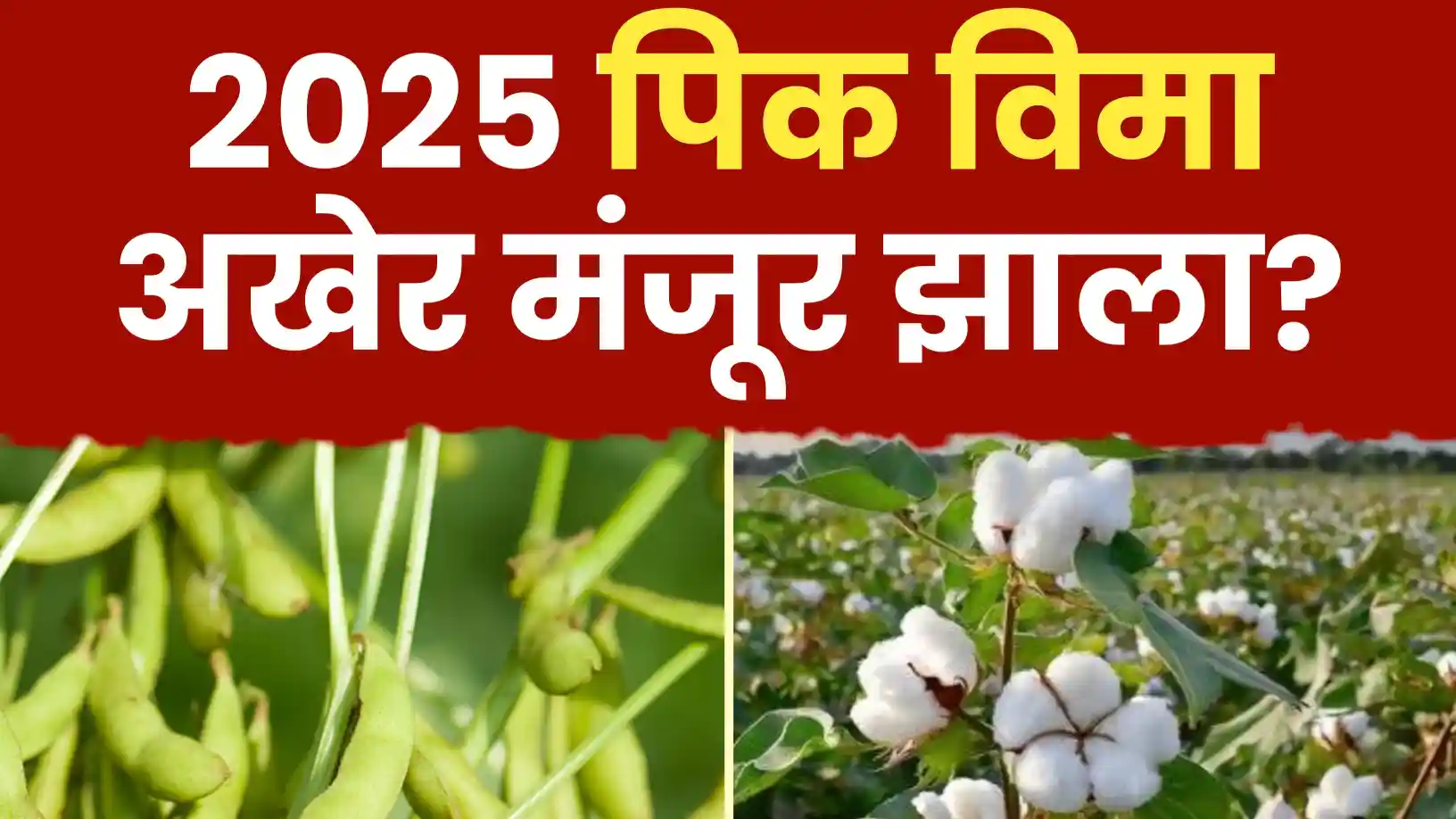 खरीप पीक विमा २०२५ मंजूर ; किती मिळनार ?