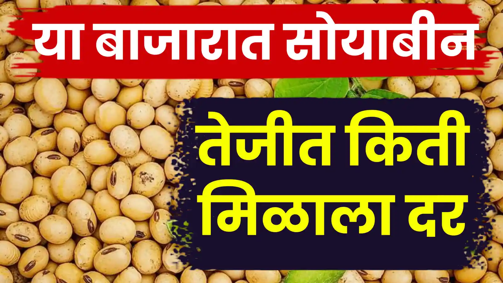 सोयाबीन बाजारात तेजीचा आधार कायम